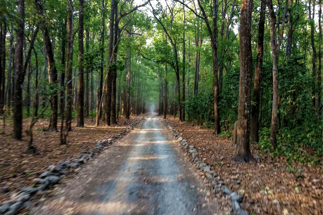 jim corbett