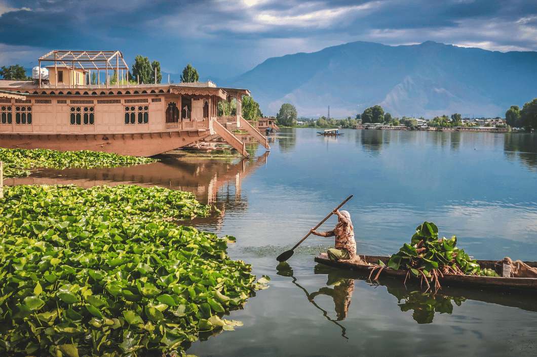 kashmir image 2-compressed